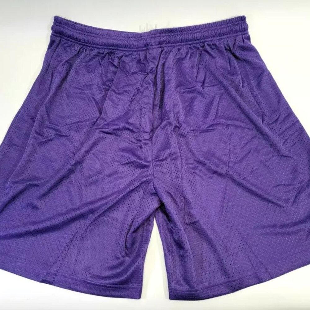 Riddell Mesh Athletic Basketball Shorts Mens 3XL Purple Drawstring WSPT Sport - Picture 2 of 6